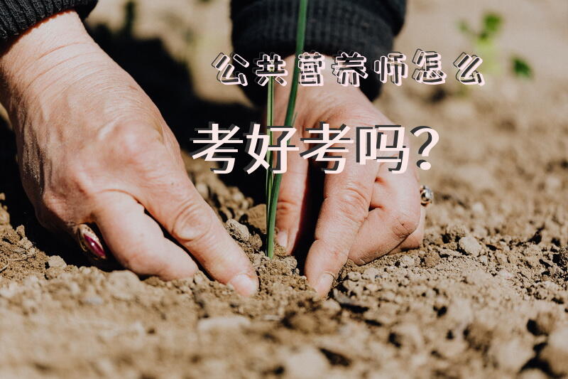 公共营养师怎么考?好考吗？