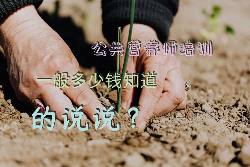 公共营养师培训一般多少钱知道的说说？公共营养师去哪里学？