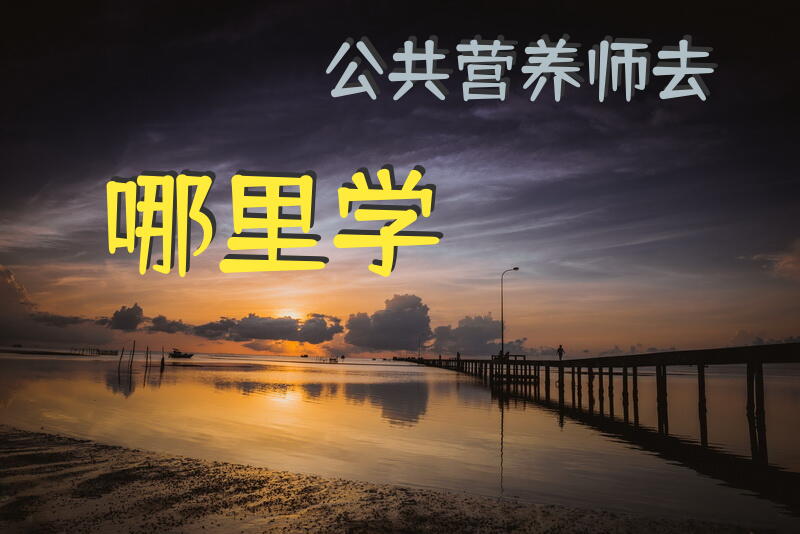 想去报考公共营养师，谁知道哪家比较好？