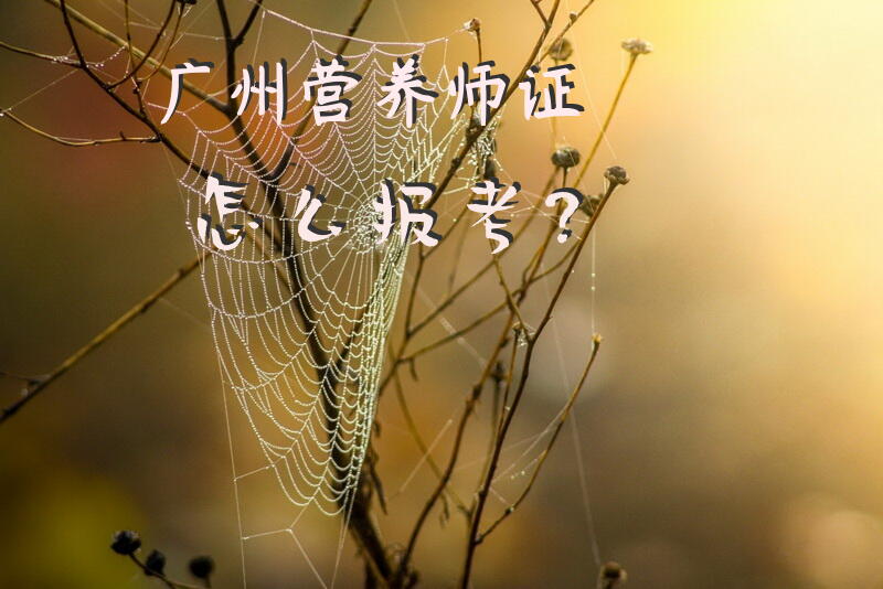 请问广州哪里报考和培训公共营养师资格证好啊