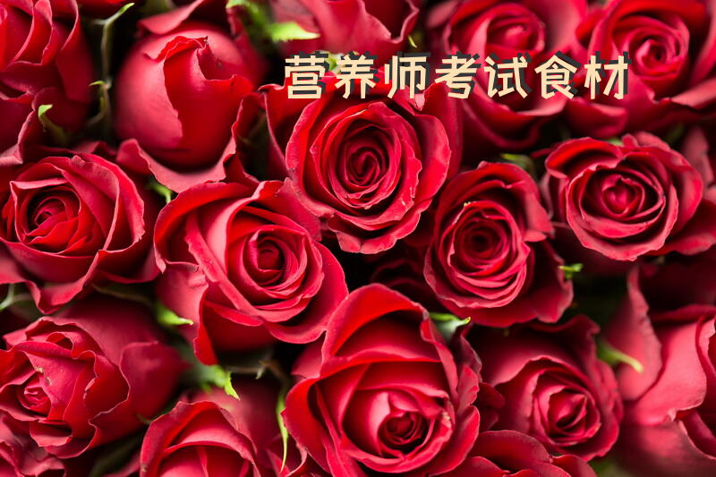 营养师考试食材