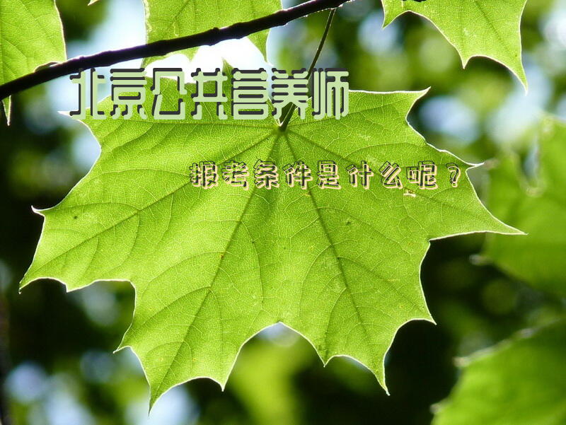 北京公共营养师报考条件是什么呢？