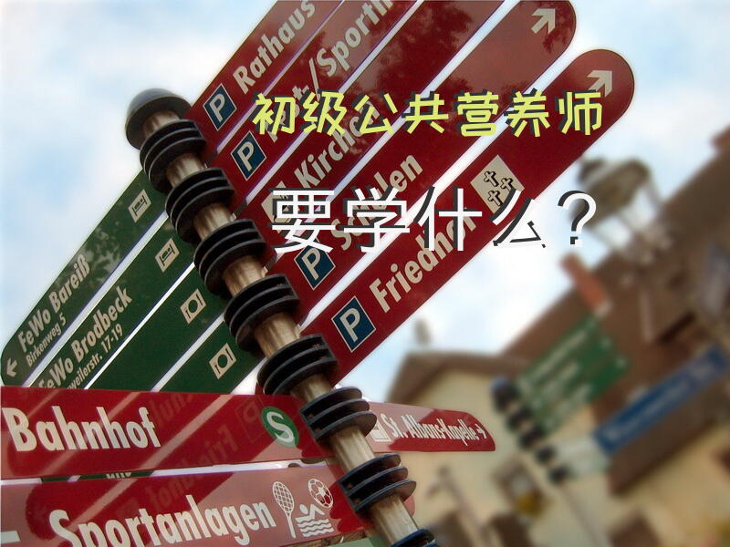 初级公共营养师要学什么？