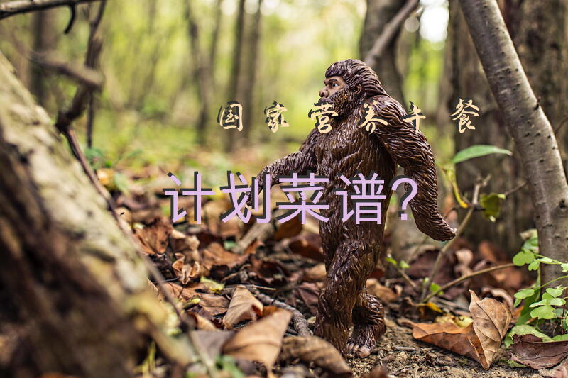 国家营养午餐计划菜谱？