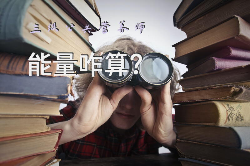 三级公共营养师能量咋算？