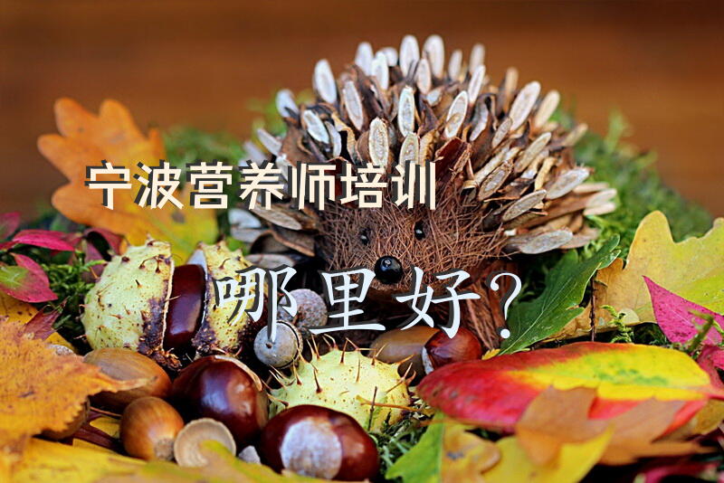宁波营养师培训哪里好？
