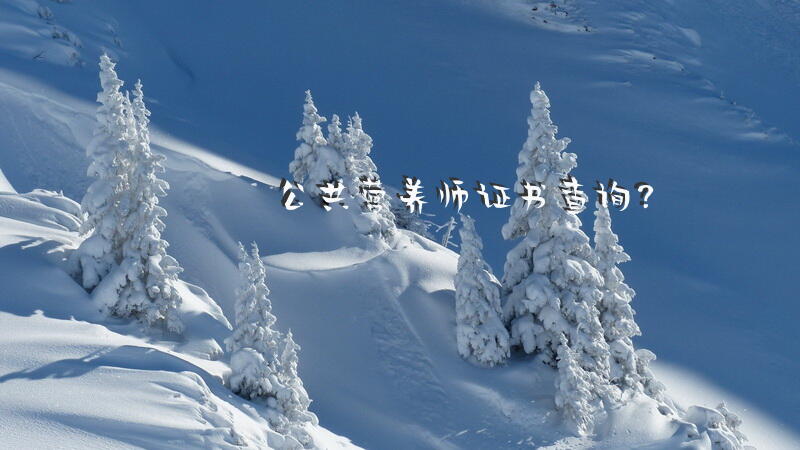 公共营养师考试成绩如何查询？