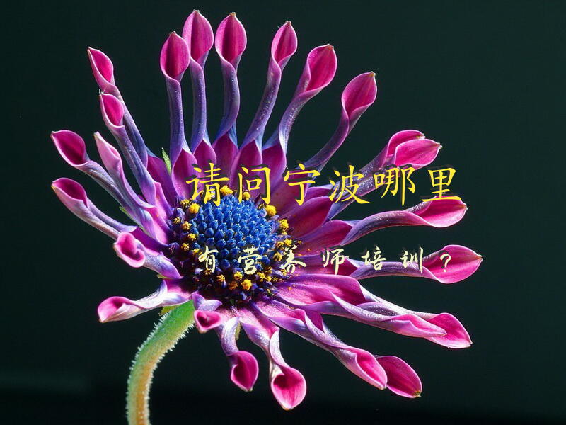 请问宁波哪里有营养师培训？宁波营养师培训哪里好？