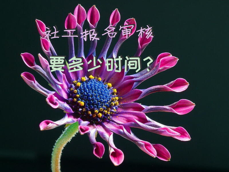 社工报名审核要多少时间？