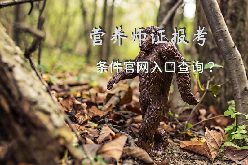 公共营养师报名入口官网？