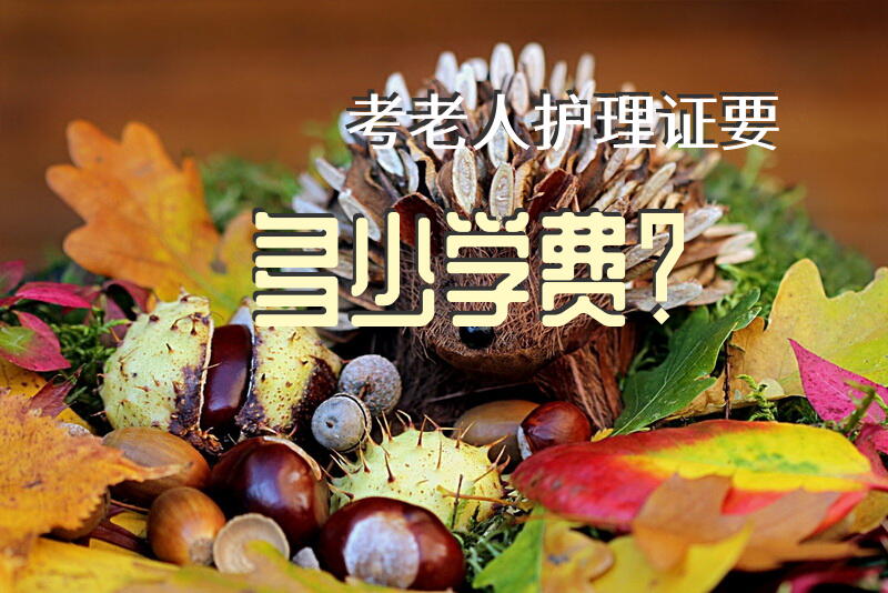 考老人护理证要多少学费？