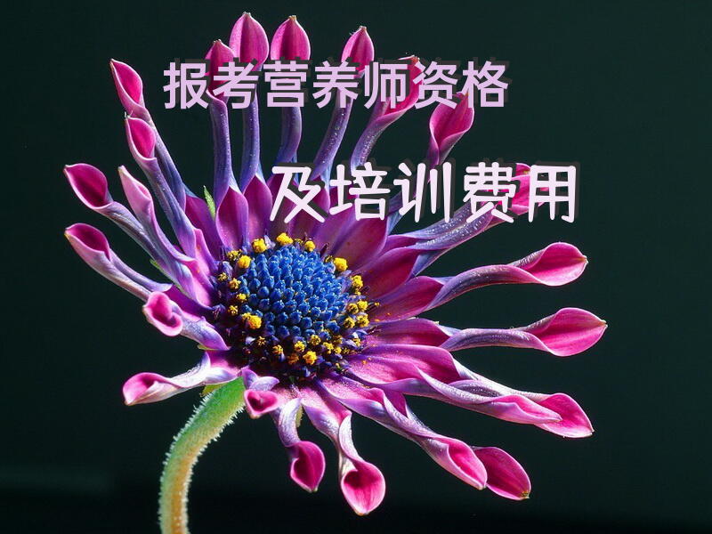 报考营养师资格及培训费用？报考公共营养师三级费用是多少？