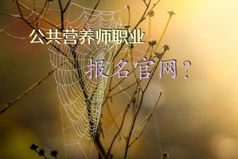 公共营养师职业报名官网？