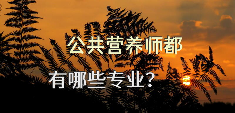 公共营养师考试考什么专业好