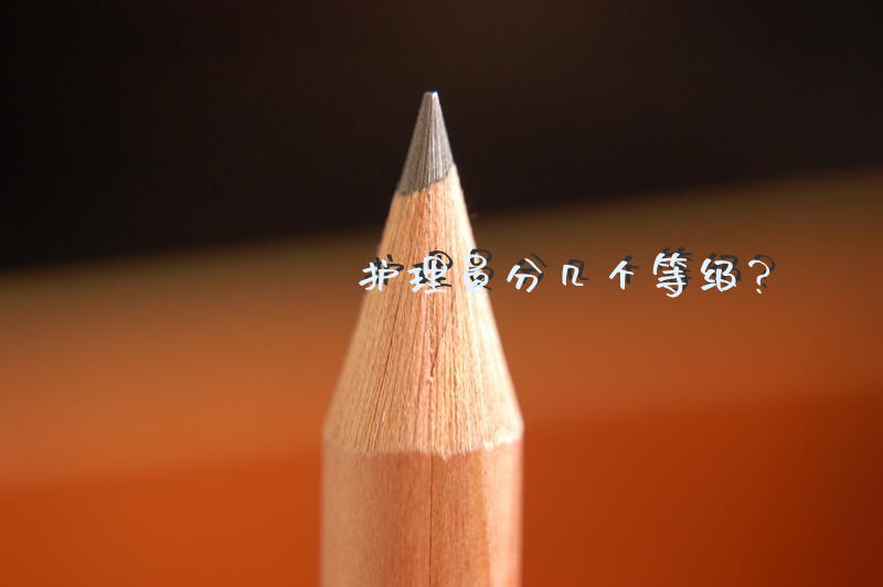 护理员分几个等级？