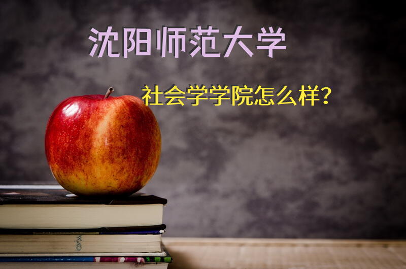沈阳师范大学社会学学院怎么样？