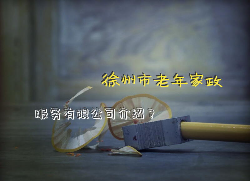 徐州市老年家政服务有限公司介绍？