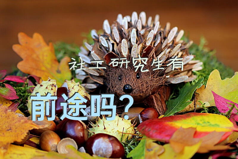 社工研究生有前途吗？