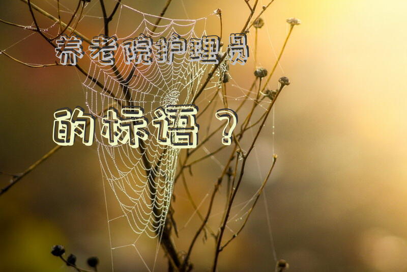 养老院护理员的标语？