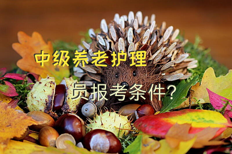 中级养老护理员报考条件？