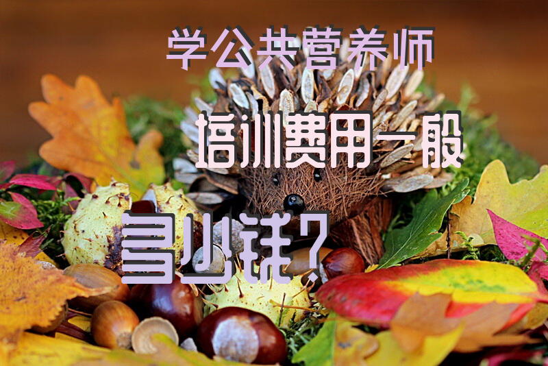 学公共营养师培训费用一般多少钱？公共营养师学习哪些内容？