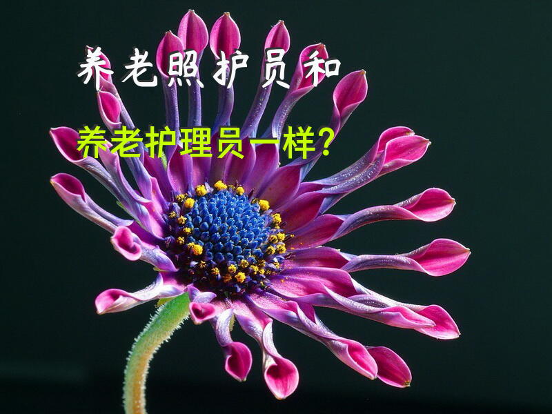 养老照护员和养老护理员一样？
