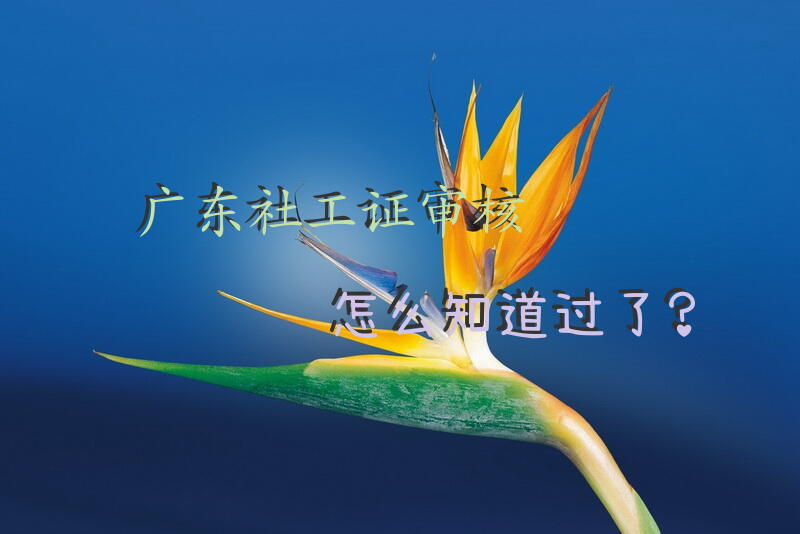 广东社工证审核怎么知道过了？