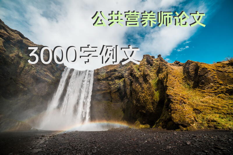 公共营养师论文3000字例文