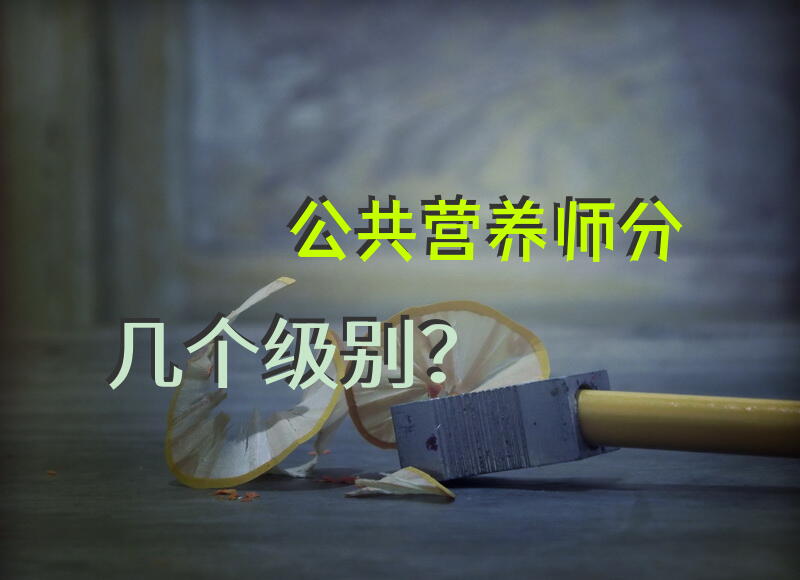 国家一级营养师是什么级别？