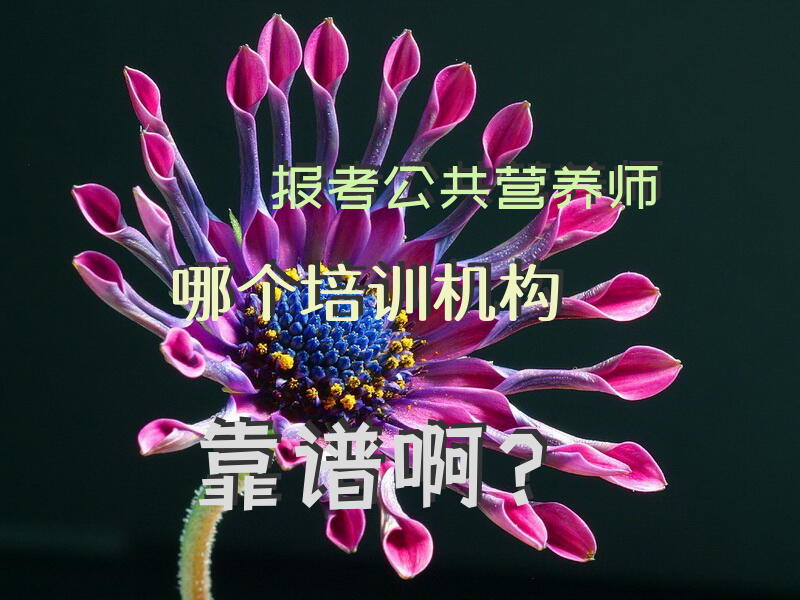 报考公共营养师哪个培训机构靠谱啊？公共营养师证有用吗？