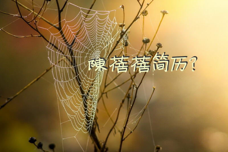 陈蓓蓓简历？