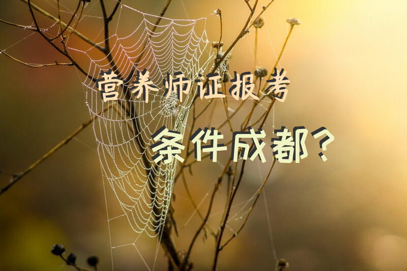 营养师证报考条件成都？
