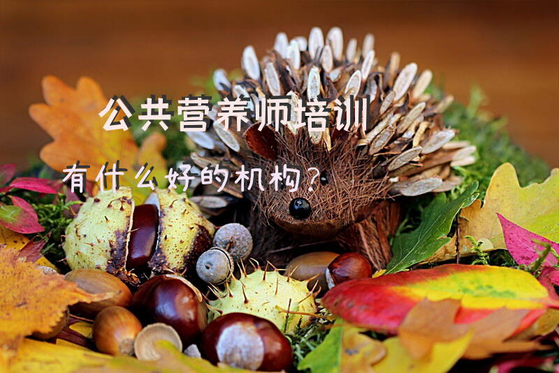 公共营养师培训有什么好的机构？成都公共营养师培训机构哪几家比较好？