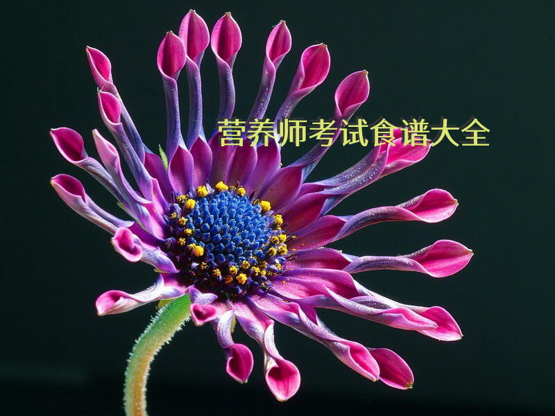 营养师考试食谱大全