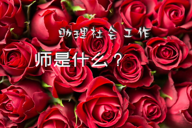 王晓晨个人资料家庭背景介绍王晓晨老公是谁？
