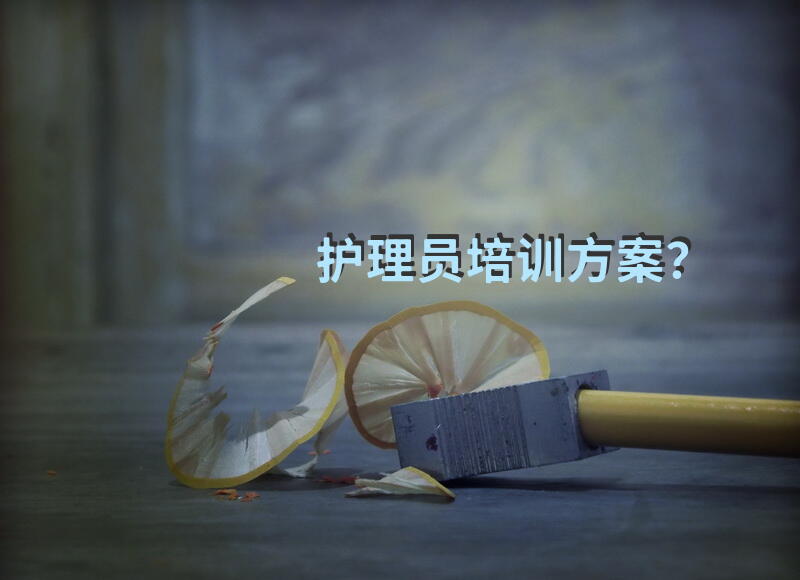 护理员培训方案？