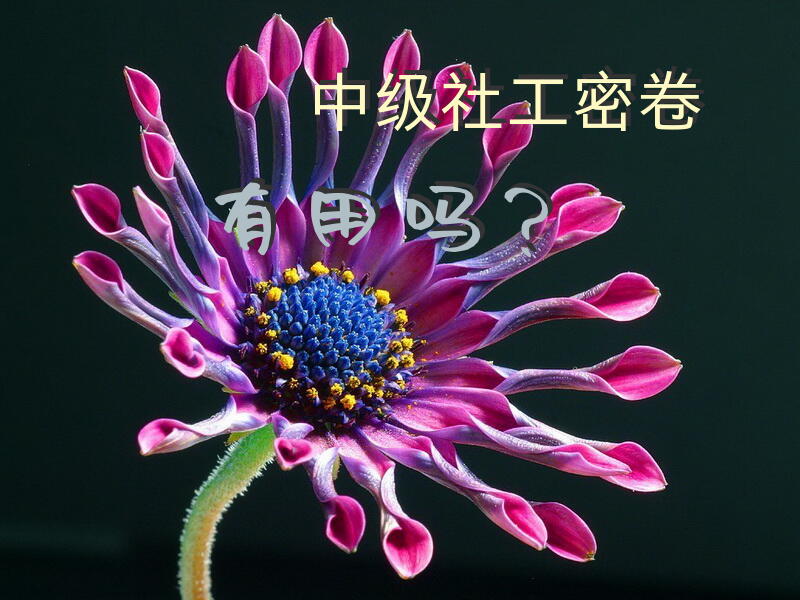 中级社工密卷有用吗？