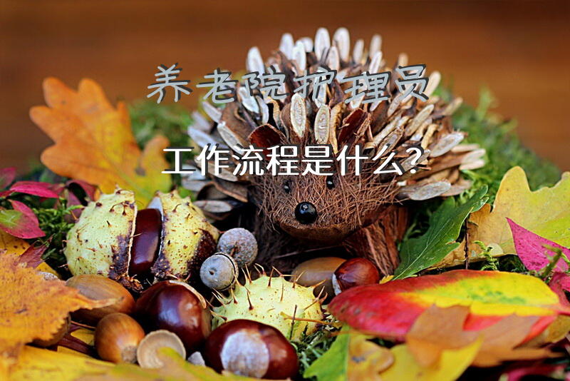 养老院护理员工作流程是什么？