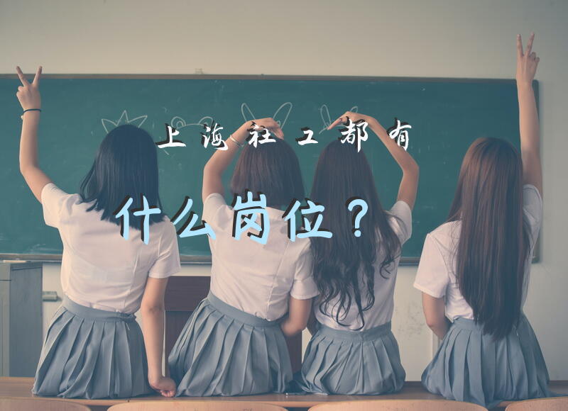 上海社工都有什么岗位？