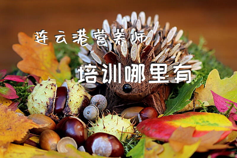 连云港营养师培训哪里有