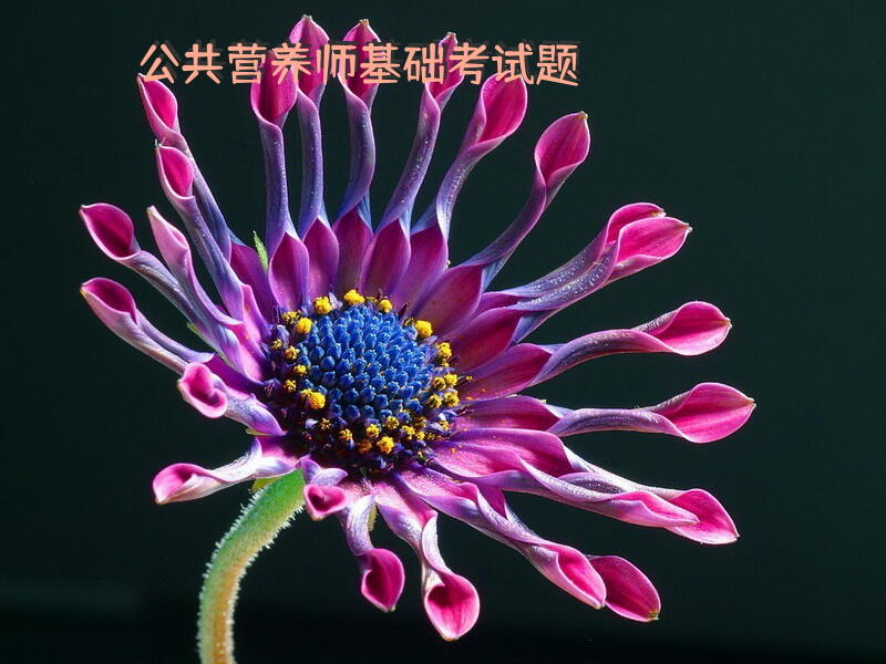 公共营养师基础考试题