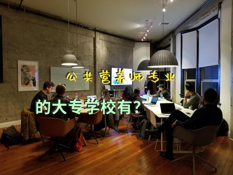 公共营养师哪个含金量高？