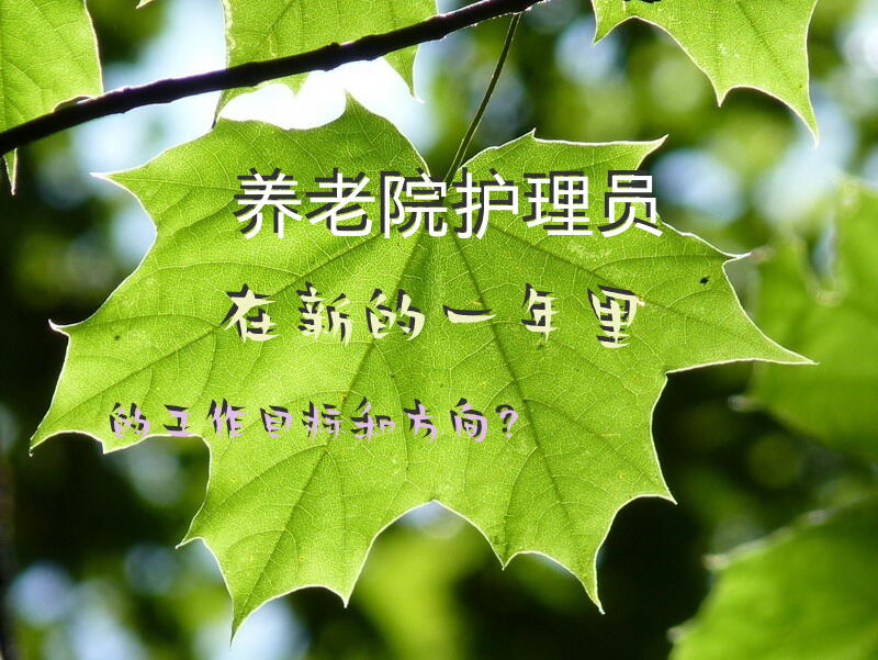 烟台市有哪些护理单招培训班？