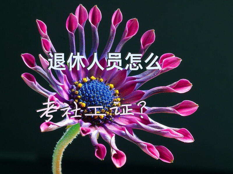 退休人员怎么考社工证？
