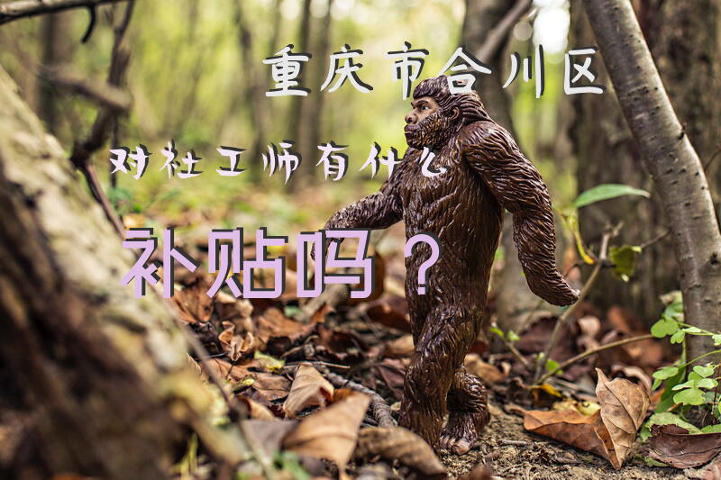 重庆市合川区对社工师有什么补贴吗？