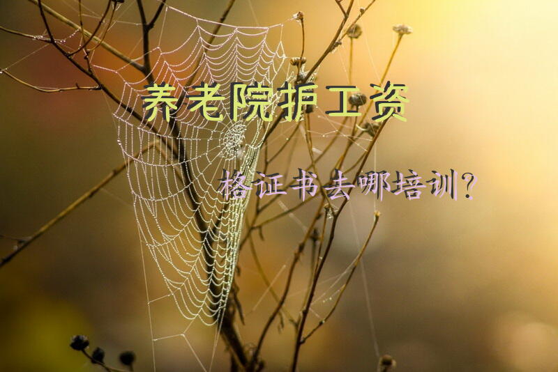 养老院护工资格证书去哪培训？护工培训机构？