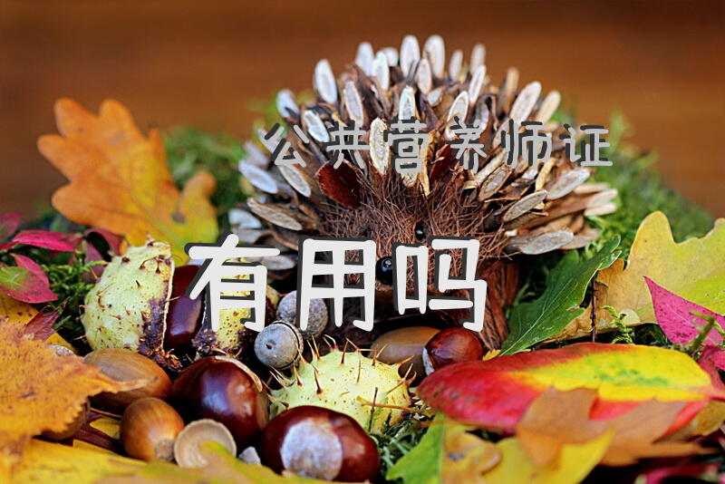 公共营养师证有用吗？一级公共营养师理论考什么？