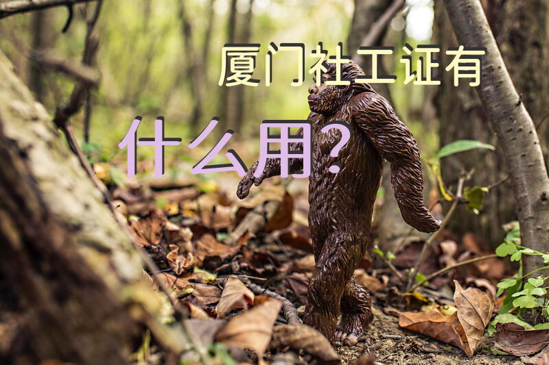 厦门社工证有什么用？