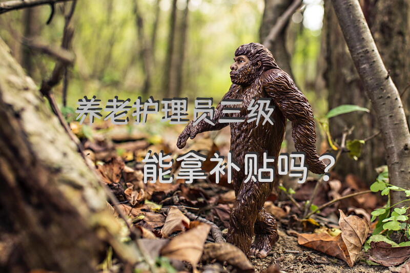 养老机构分级护理的基本标准是怎样规定的？