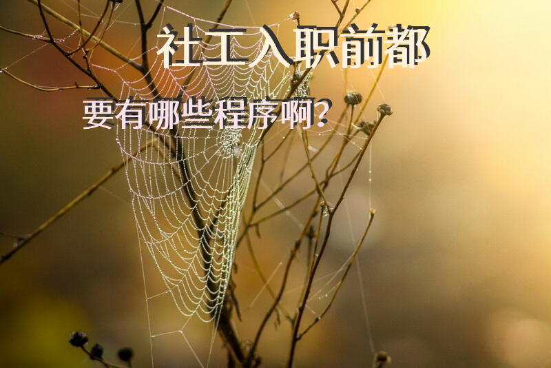 社工入职前都要有哪些程序啊？